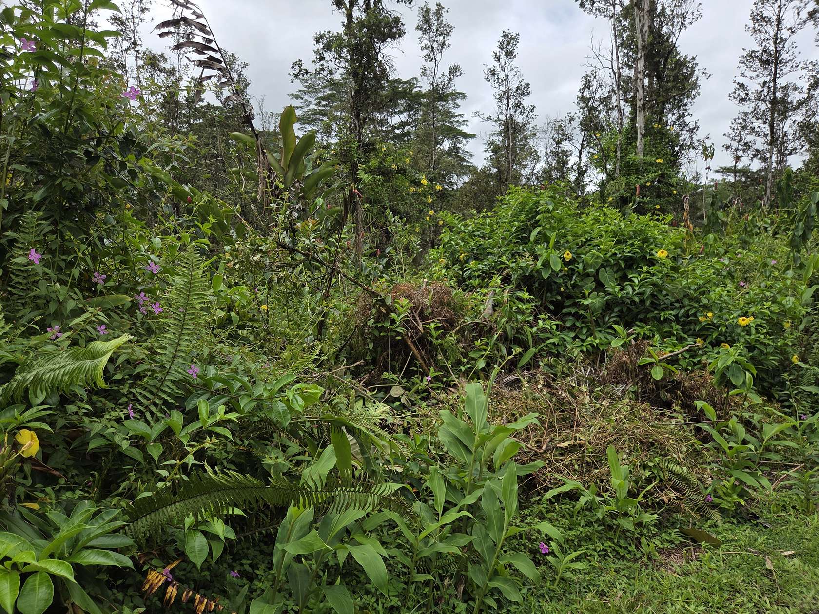 0.19 Acres of Land for Sale in Pahoa, Hawaii