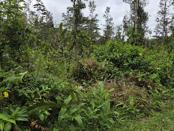 0.19 Acres of Land for Sale in Pahoa, Hawaii