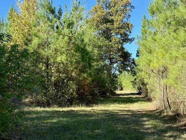 63 Acres of Land for Sale in Sturgis, Mississippi