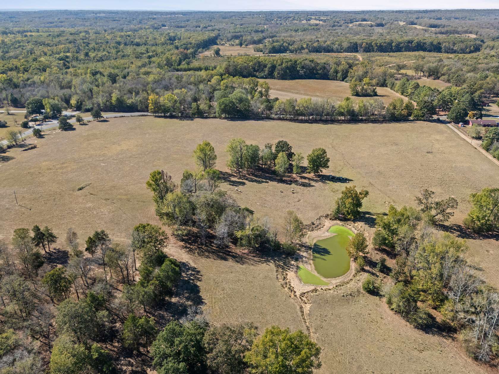 80 Acres of Land for Sale in Bald Knob, Arkansas