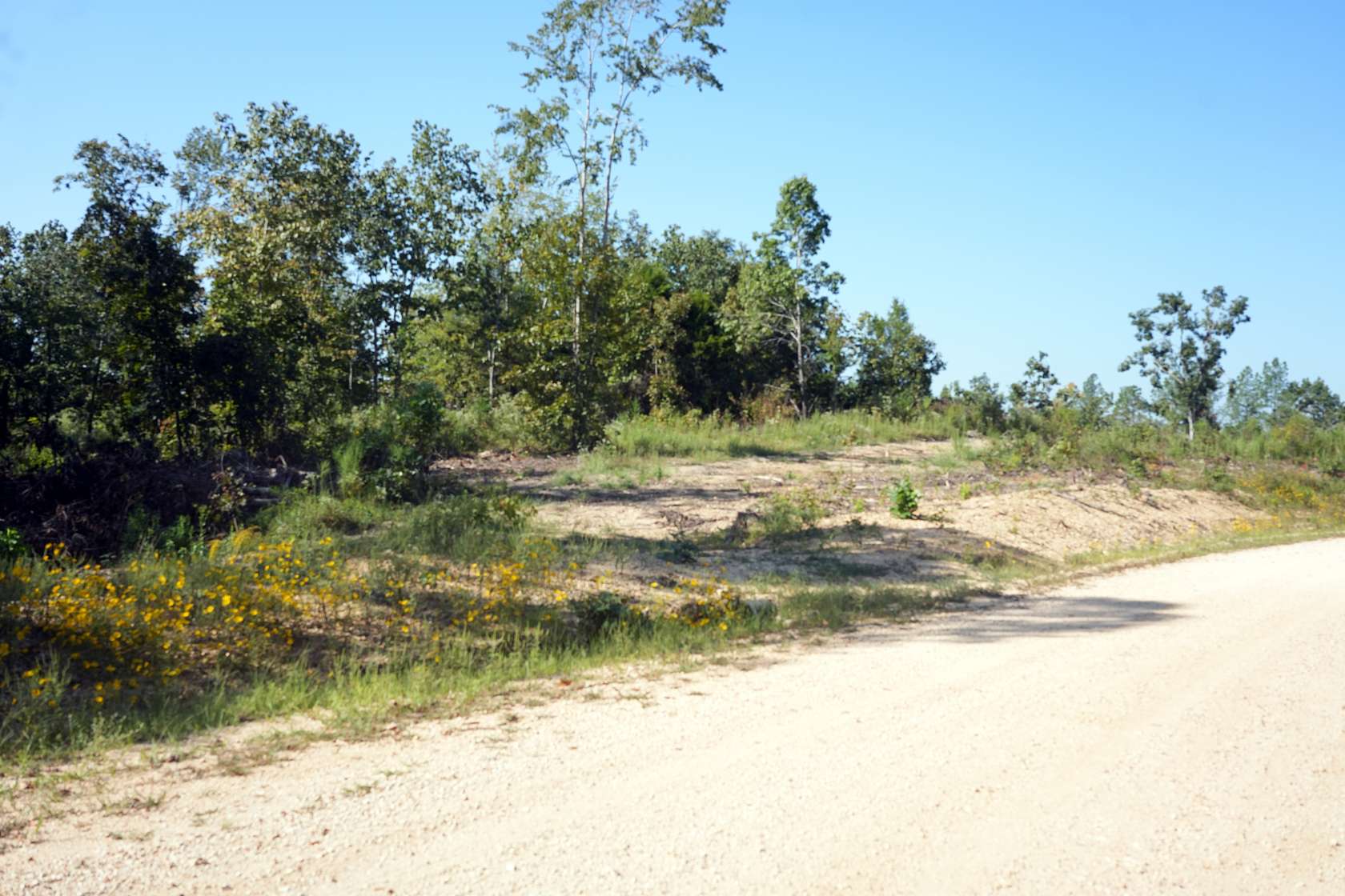 7.18 Acres of Land for Sale in Sugar Tree, Tennessee
