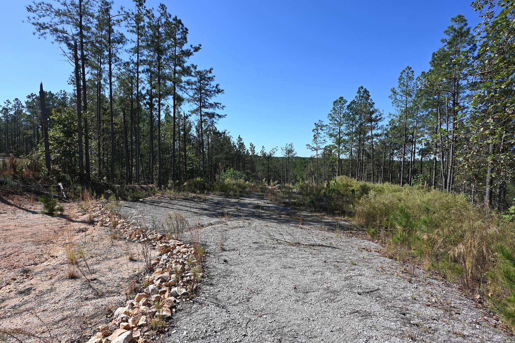 17 Acres of Land for Sale in Linden, Tennessee