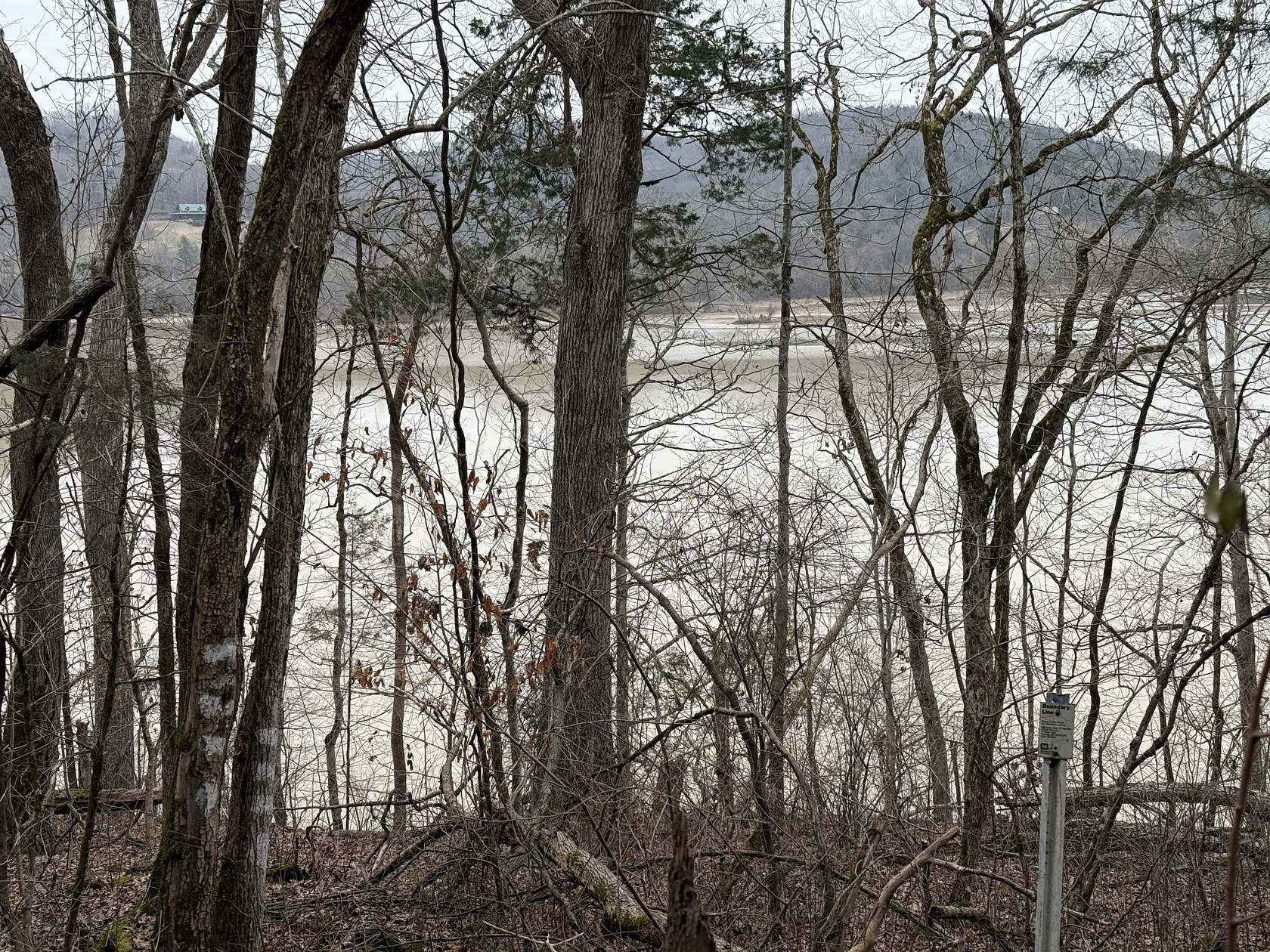 37.9 Acres of Recreational Land for Sale in Gainesboro, Tennessee