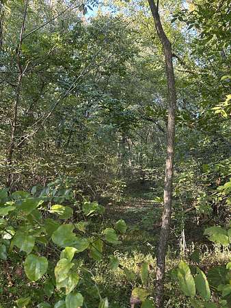 6.4 Acres of Land for Sale in Rock Island, Tennessee