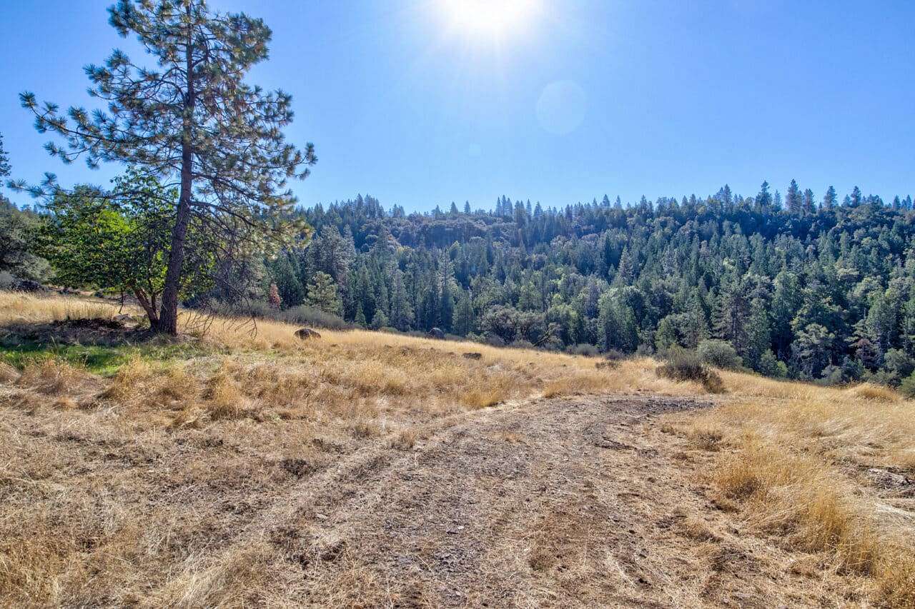 138 Acres of Land for Sale in Pioneer, California