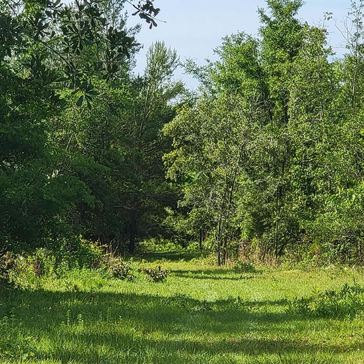 20.5 Acres of Recreational & Residential Land for Sale in Lee, Florida
