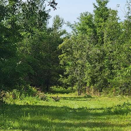 20.5 Acres of Recreational & Residential Land for Sale in Lee, Florida