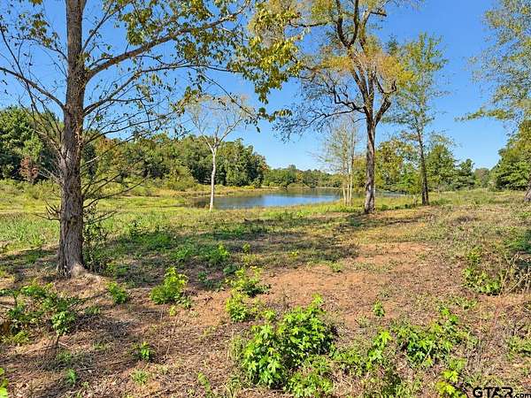 1 Acre of Land for Sale in Winona, Texas
