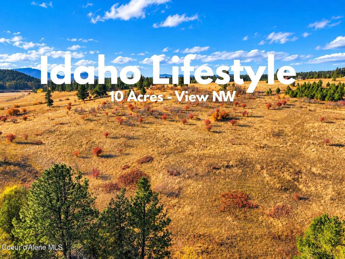 10 Acres of Recreational & Residential Land for Sale in Tensed, Idaho