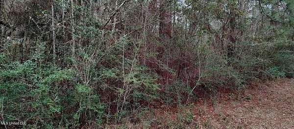 0.25 Acres of Land for Sale in Lumberton, Mississippi