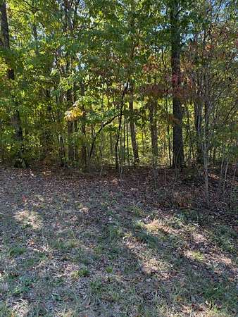 1.1 Acres of Residential Land for Sale in Spencer, Tennessee