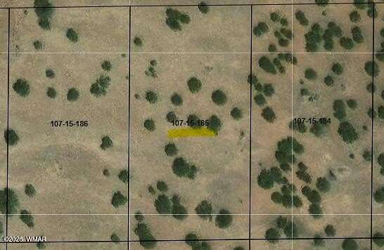 1 Acre of Residential Land for Sale in Concho, Arizona