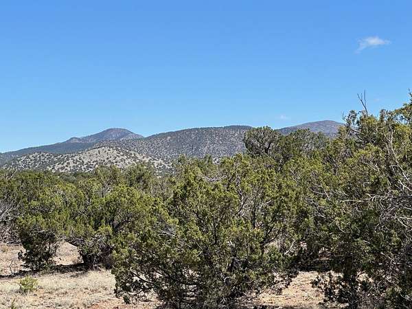 3 Acres of Residential Land for Sale in Sandia Park, New Mexico