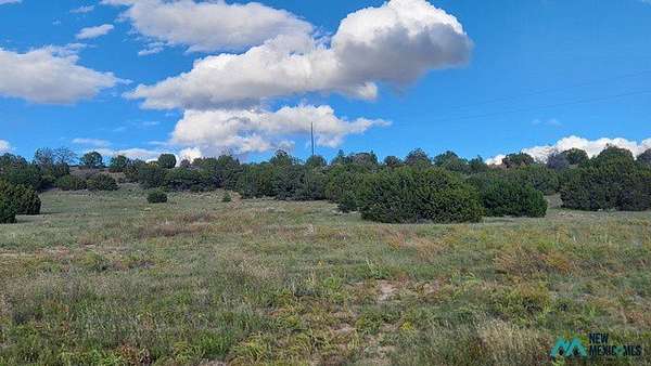9.18 Acres of Residential Land for Sale in Quemado, New Mexico