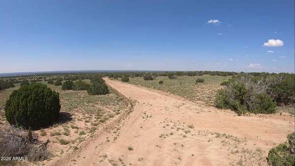 37 Acres of Land for Sale in St. Johns, Arizona