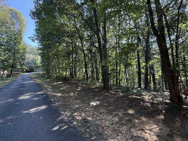 2.8 Acres of Residential Land for Sale in Talking Rock, Georgia