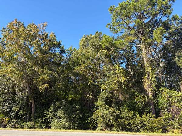 1.84 Acres of Residential Land for Sale in Waycross, Georgia