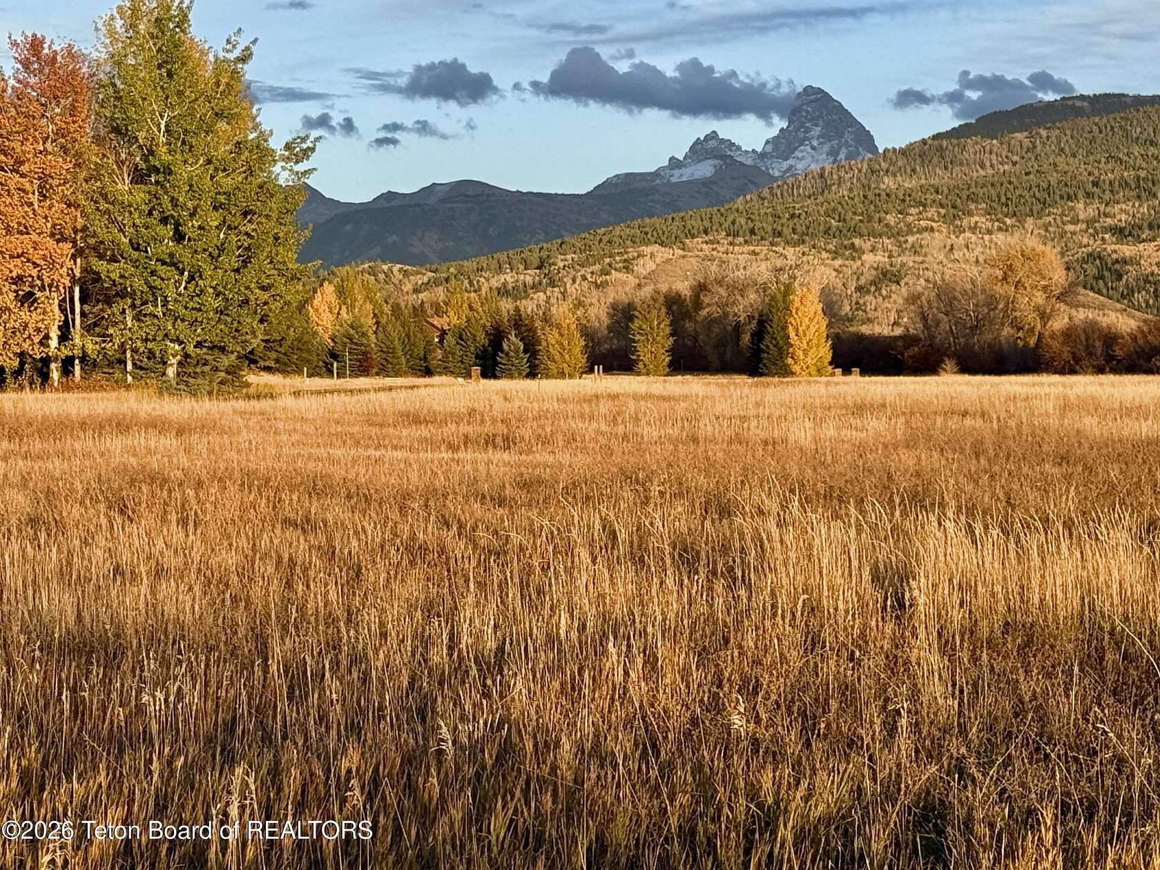 3.5 Acres of Residential Land for Sale in Driggs, Idaho