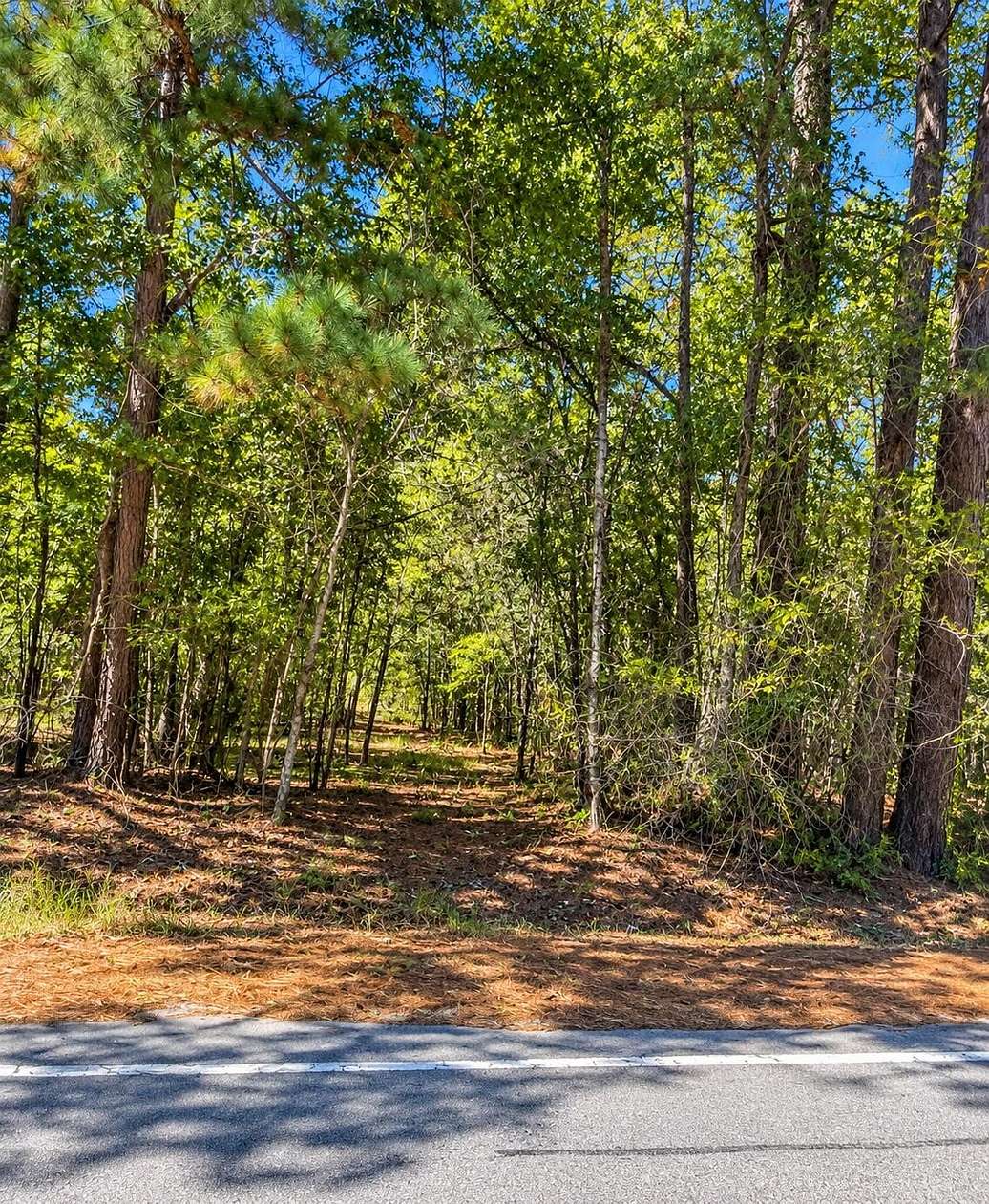 16 Acres of Land for Sale in Walterboro, South Carolina
