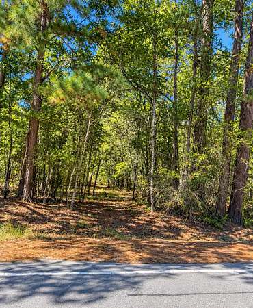 16 Acres of Land for Sale in Walterboro, South Carolina