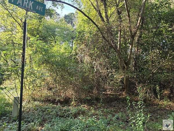 1.49 Acres of Residential Land for Sale in Nash, Texas