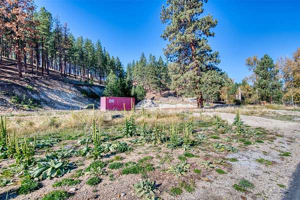 Residential Land for Sale in Darby, Montana