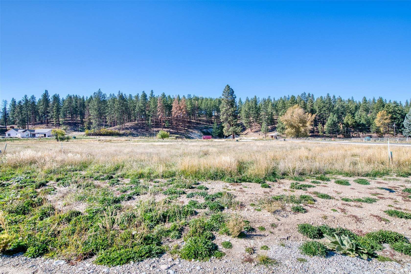 Residential Land for Sale in Darby, Montana