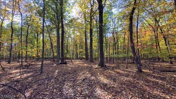 Residential Land for Sale in Alexandria Township, New Jersey