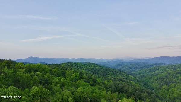11.7 Acres of Recreational & Residential Land for Sale in Del Rio, Tennessee