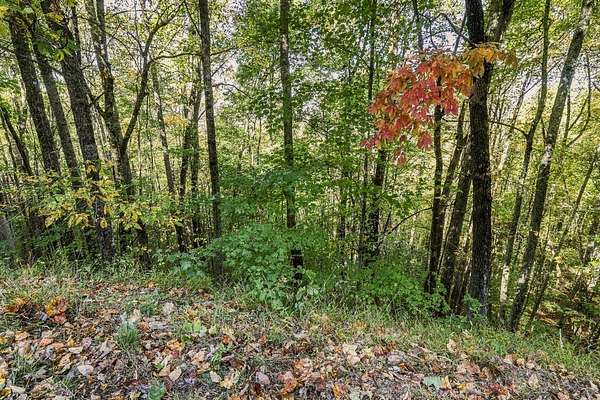 3.82 Acres of Land for Sale in Franklin, North Carolina