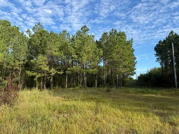 7.1 Acres of Residential Land for Sale in Eight Mile, Alabama