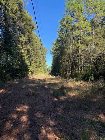 2 Acres of Land for Sale in Maple Hill, North Carolina