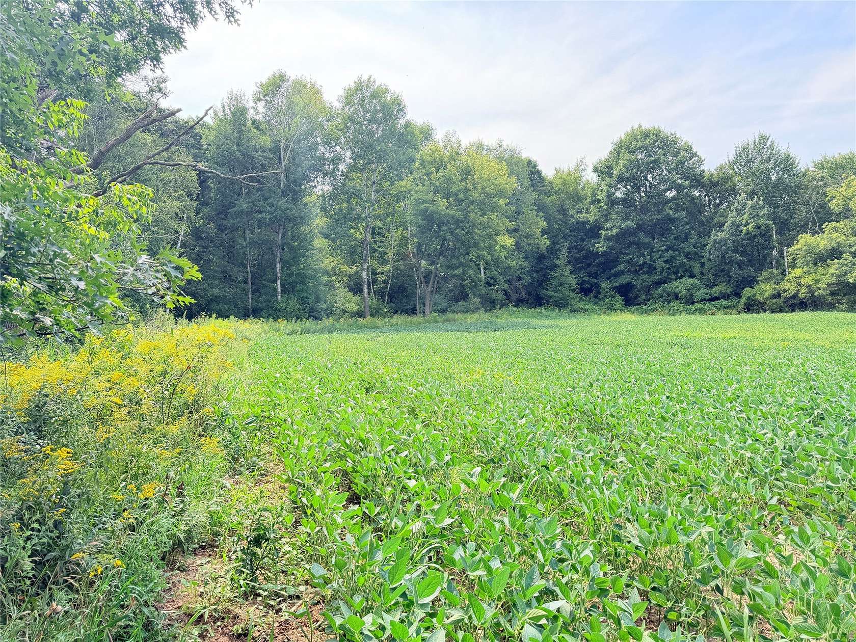10 Acres of Recreational & Residential Land for Sale in St. Croix Falls, Wisconsin