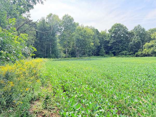10 Acres of Recreational & Residential Land for Sale in St. Croix Falls, Wisconsin