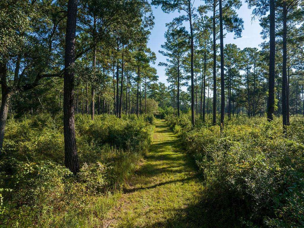 210 Acres of Land for Sale in Ochlocknee, Georgia