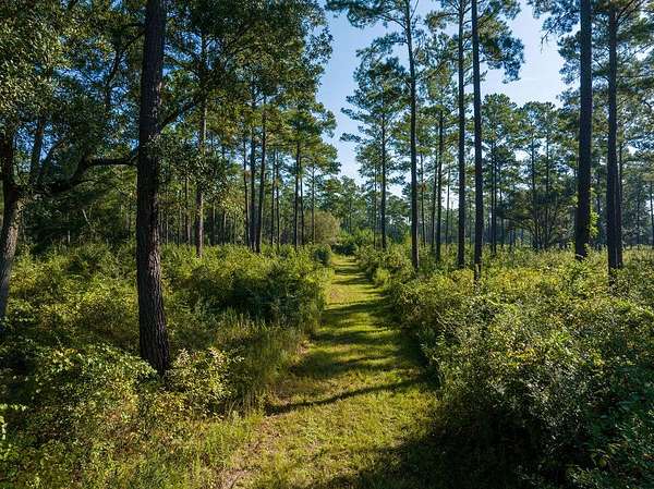 210 Acres of Land for Sale in Ochlocknee, Georgia