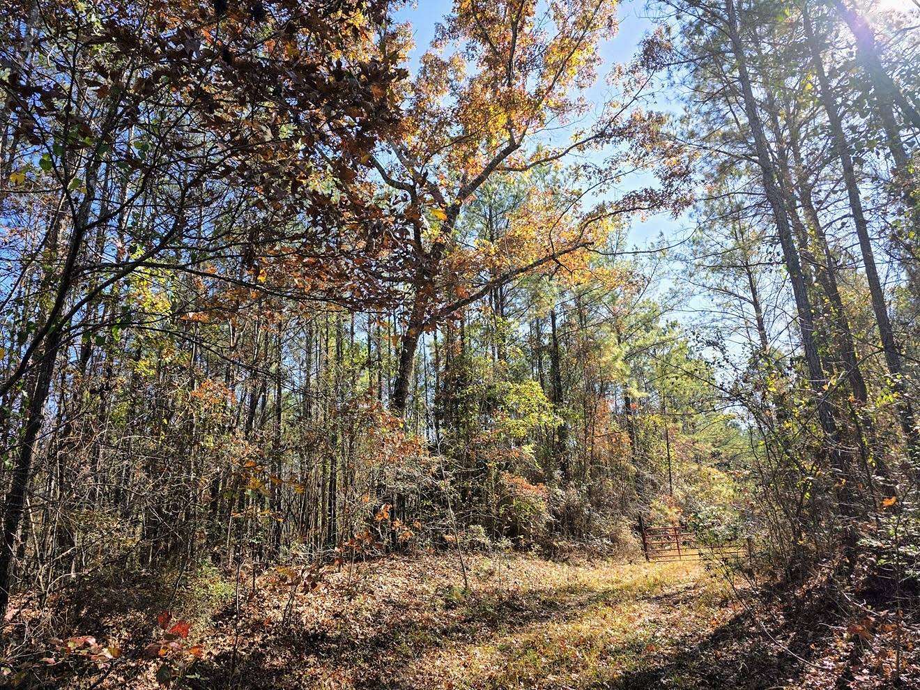 130 Acres of Recreational & Residential Land for Sale in Marion, Alabama