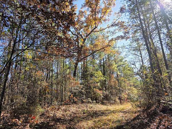 130 Acres of Recreational & Residential Land for Sale in Marion, Alabama