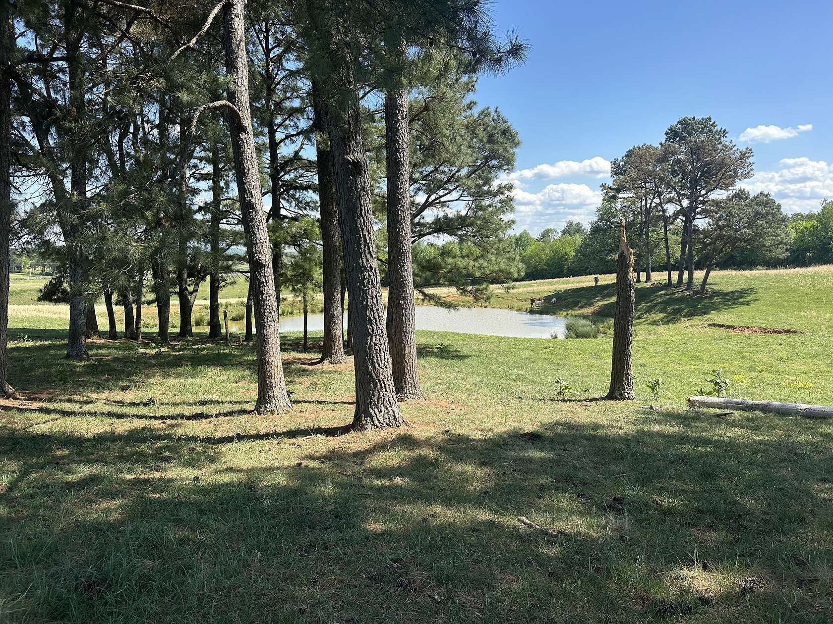 5 Acres of Residential Land for Sale in Sparta, Tennessee