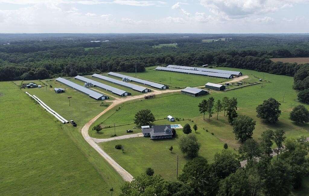 41 Acres of Land for Sale in Troy, Alabama