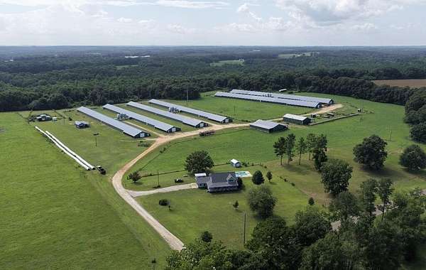 41 Acres of Land for Sale in Troy, Alabama