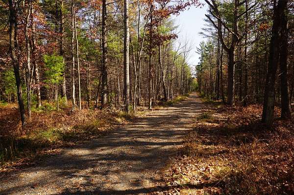 5 Acres of Land for Sale in Neillsville, Wisconsin