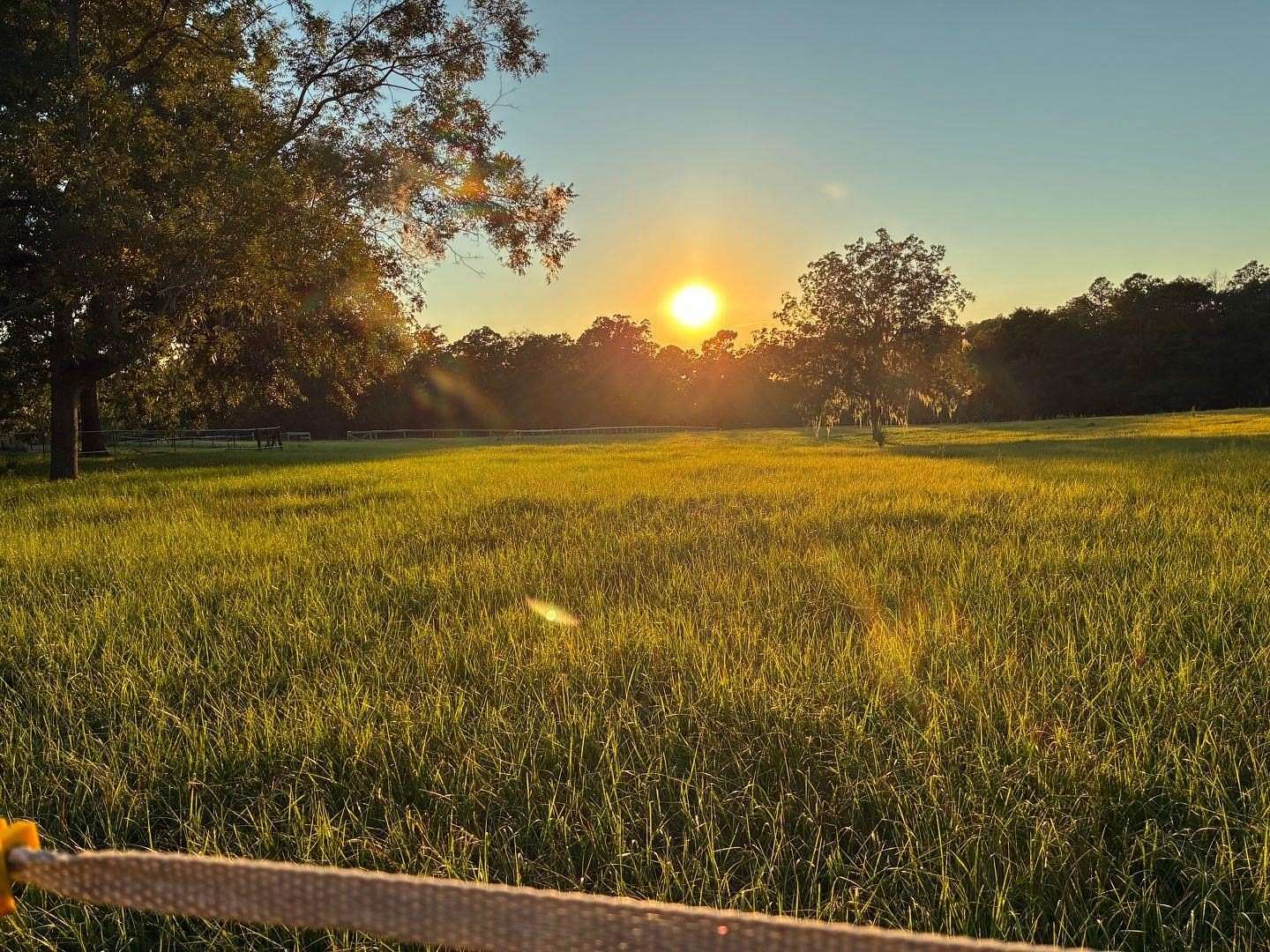 10 Acres of Land with Home for Lease in Tallahassee, Florida