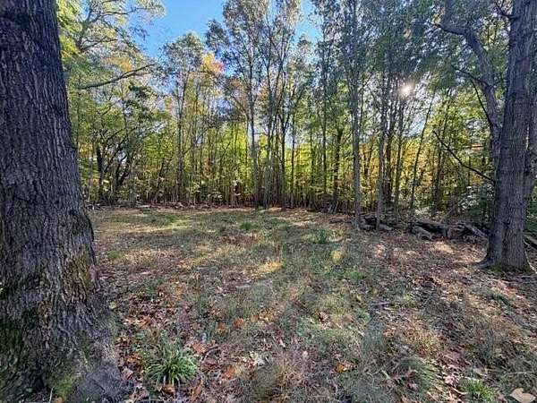 12.3 Acres of Land for Sale in Whitehall, Michigan