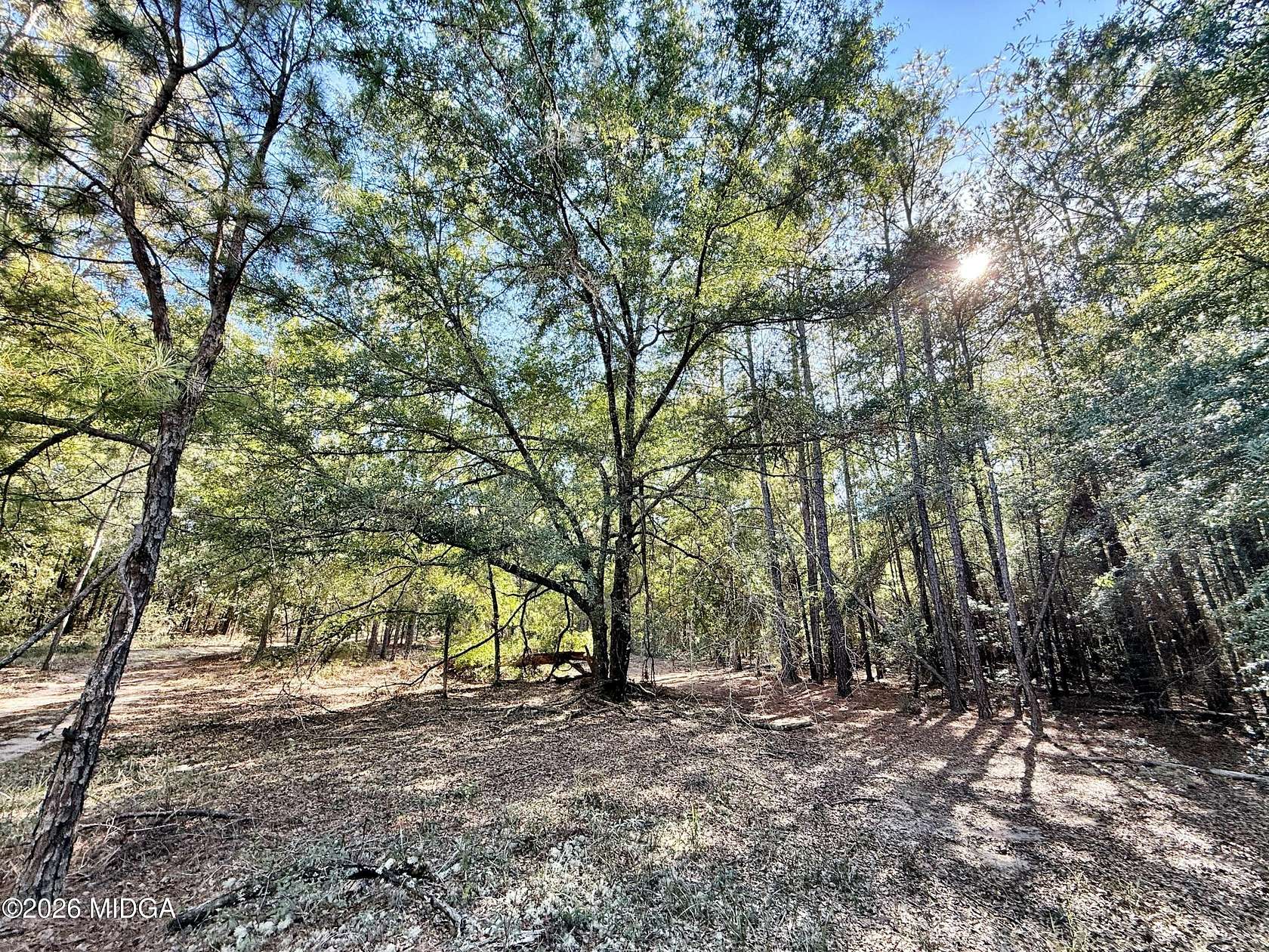 17.3 Acres of Land for Sale in Macon, Georgia