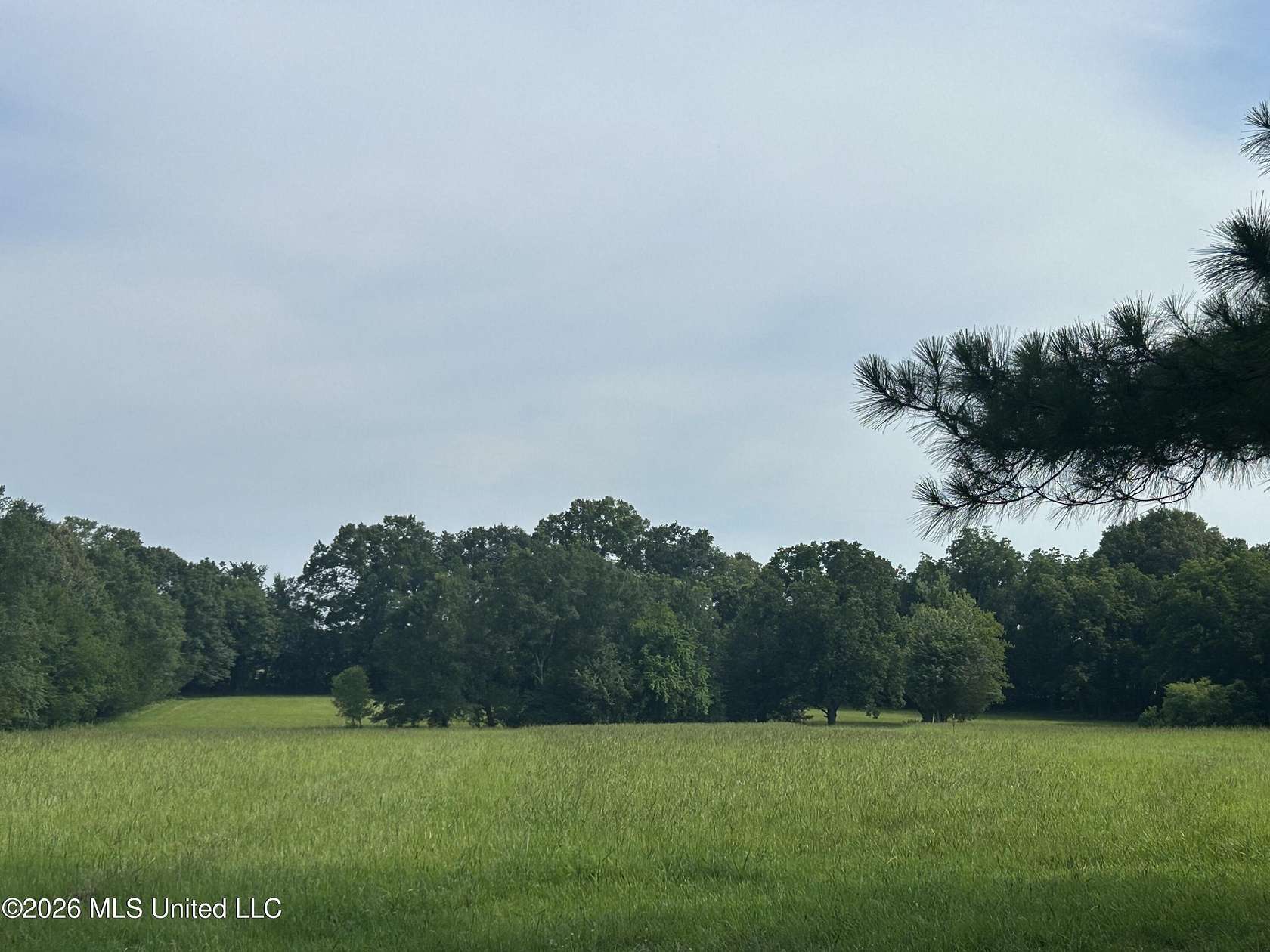 14 Acres of Agricultural Land for Sale in Canton, Mississippi