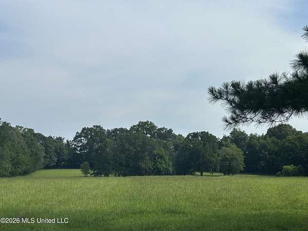 14 Acres of Agricultural Land for Sale in Canton, Mississippi
