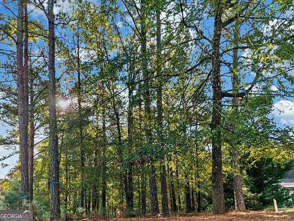 0.7 Acres of Residential Land for Sale in Greensboro, Georgia