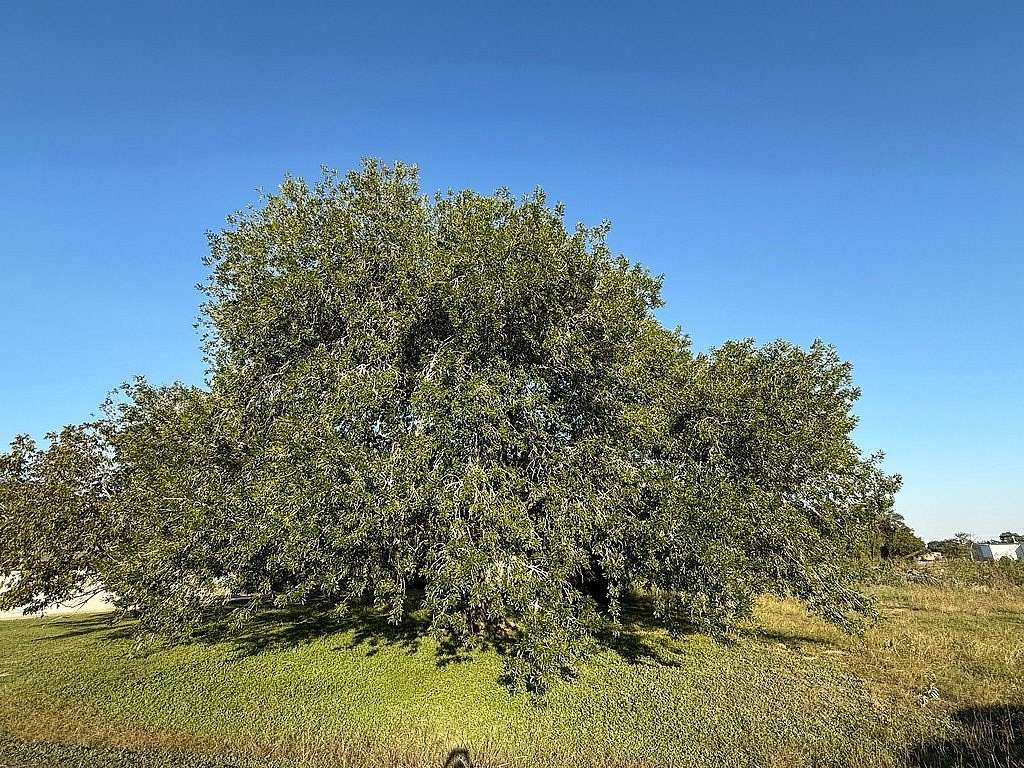 0.8 Acres of Residential Land for Sale in Rock Island, Texas