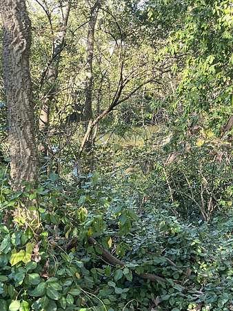 1.49 Acres of Residential Land for Sale in Georgetown, Kentucky